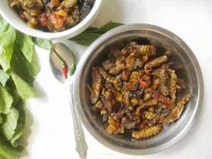 Read more about the article Mopane Worms (Caterpillars)-Zambian Edible Insects