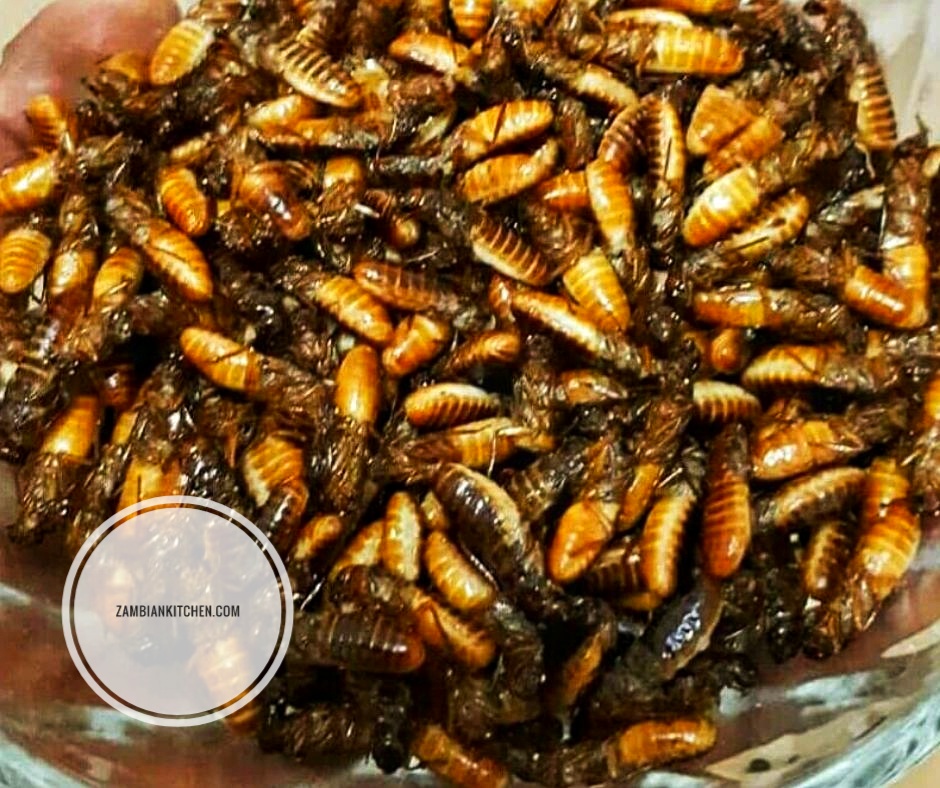 Inswa Zambian insects